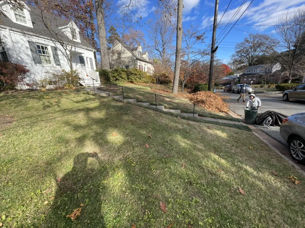 Top-rated yard maintenance in Silver Spring, MD by EAA Landscaping