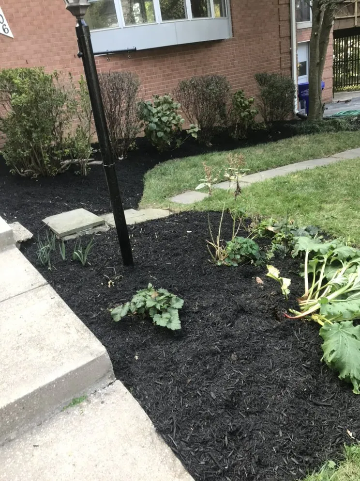 Top-rated lawn mowing service with custom design in Silver Spring, MD by EAA Landscaping