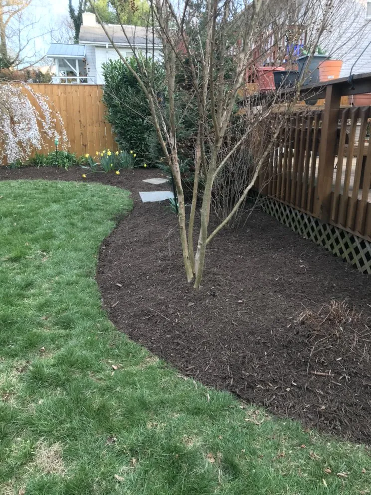 Expert landscaping services for residential properties in Silver Spring, MD by EAA Landscaping