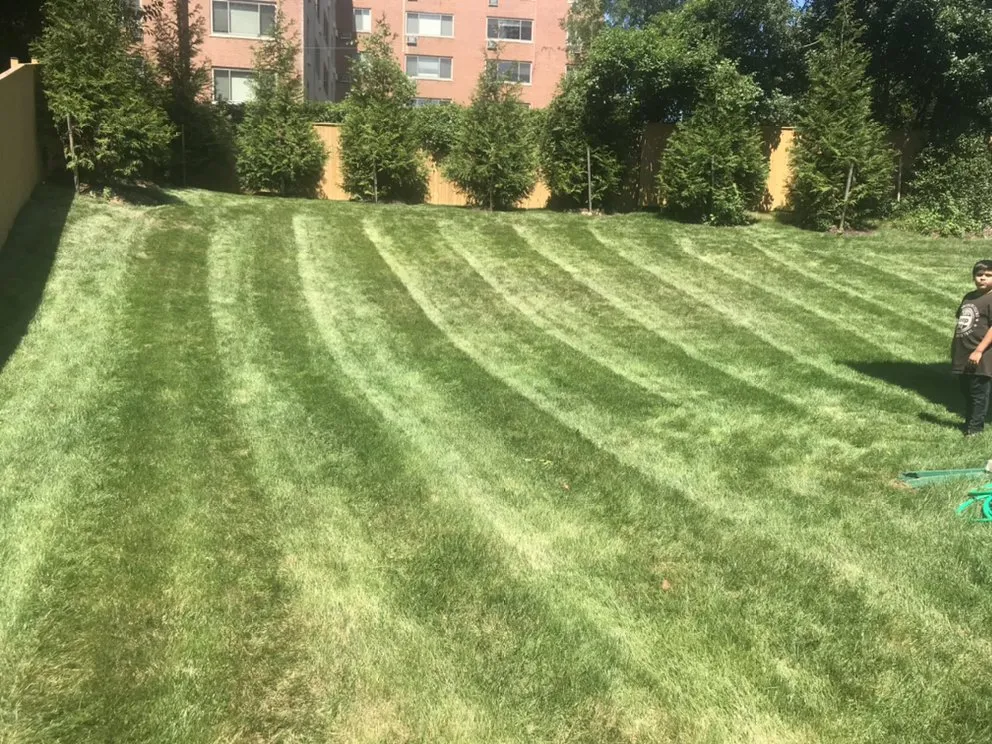 Affordable landscape installation in Silver Spring, MD by EAA Landscaping