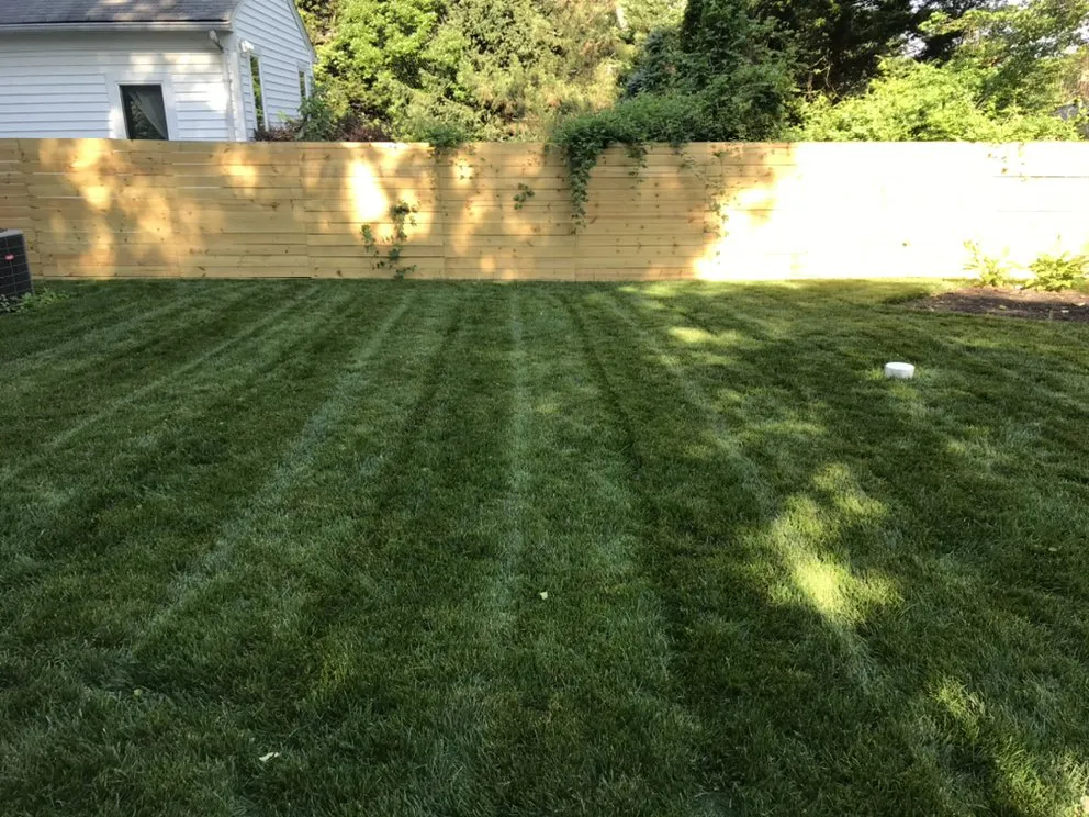 Custom residential landscaping in Silver Spring, MD - EAA Landscaping