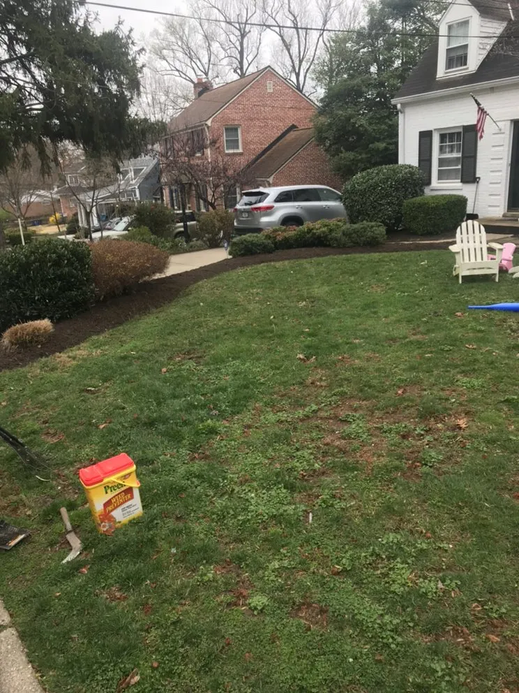 Local outdoor landscaping for year-round maintenance in Silver Spring, MD by EAA Landscaping