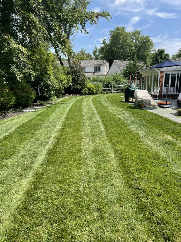 Reliable garden landscaping experts serving Silver Spring, MD - EAA Landscaping