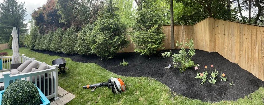Reliable yard cleanup service for year-round maintenance across Silver Spring, MD - EAA Landscaping