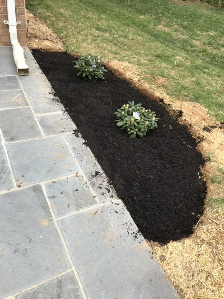 Expert landscaping services in Silver Spring, MD - EAA Landscaping