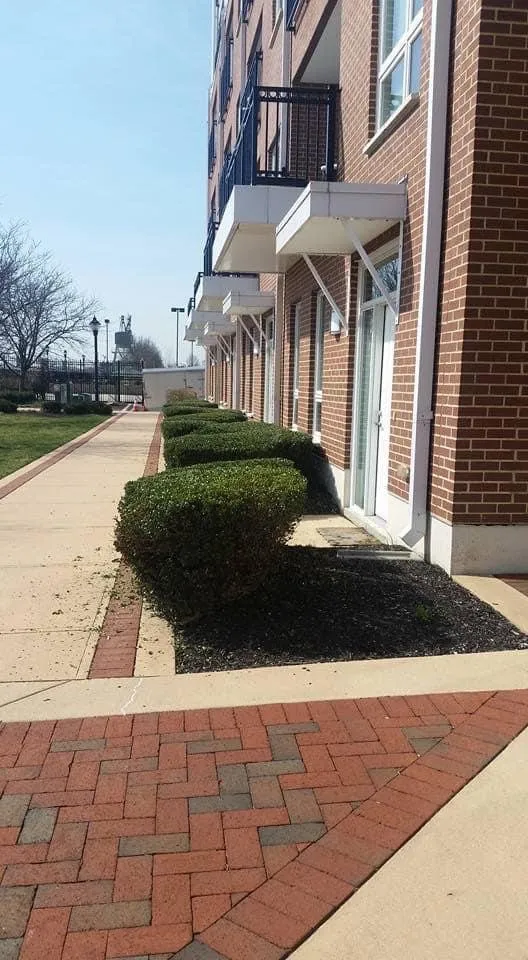 Top-rated residential landscaping for outdoor upgrades in Wilmington, DE by Eab landscape