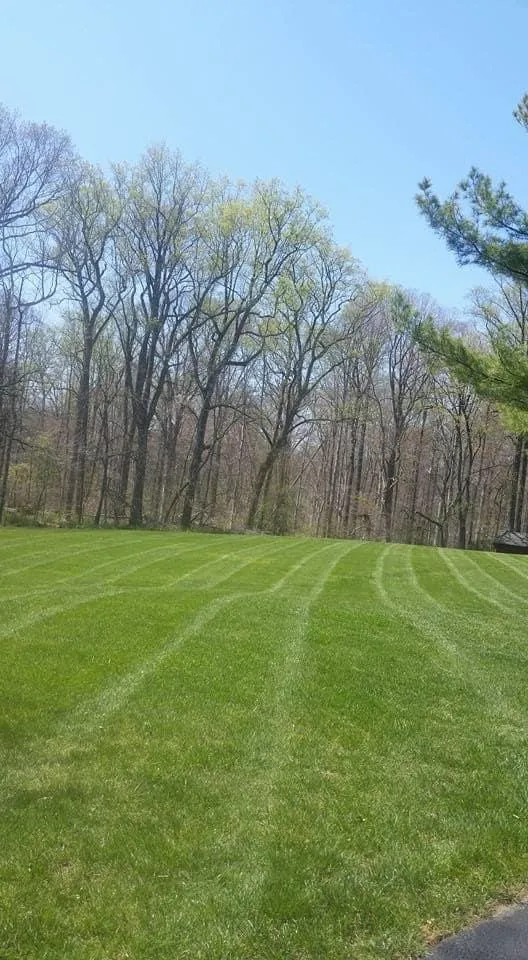 Local landscape installation near you in Wilmington, DE by Eab landscape