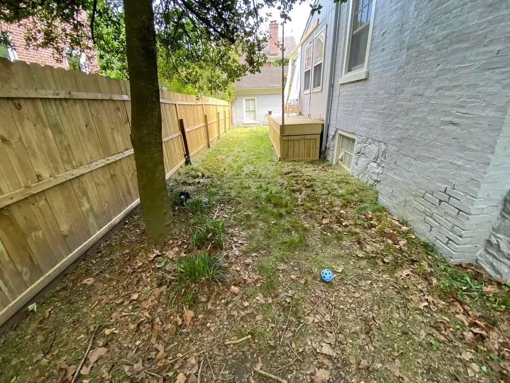 Expert yard cleanup service for outdoor upgrades across Wilmington, DE - Eab landscape