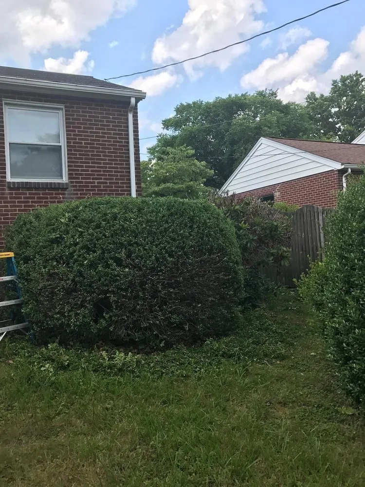 Local garden landscaping in Wilmington, DE - Eab landscape