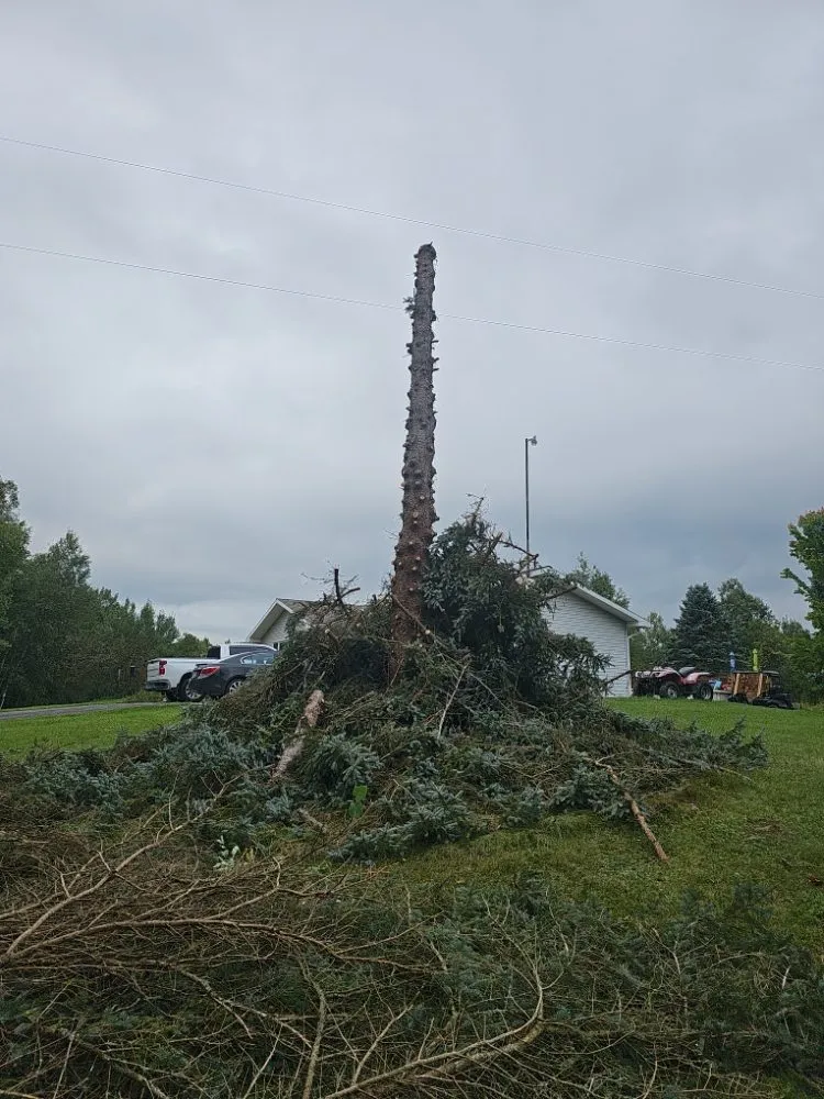 Expert yard cleanup service in Marion, MI - Eadie Landscaping and Tree Service