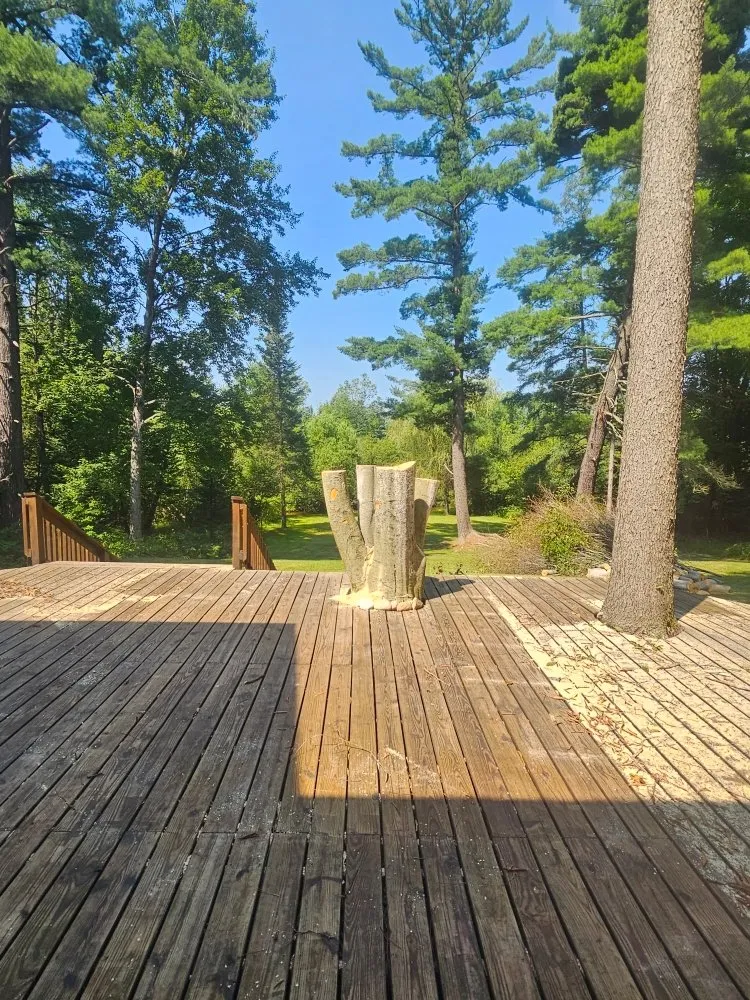 Professional lawn mowing service for residential properties across Marion, MI - Eadie Landscaping and Tree Service