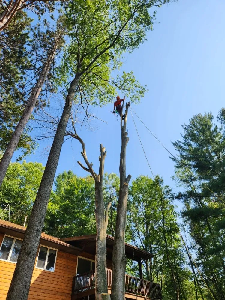 Top-rated landscape installation experts serving Marion, MI - Eadie Landscaping and Tree Service