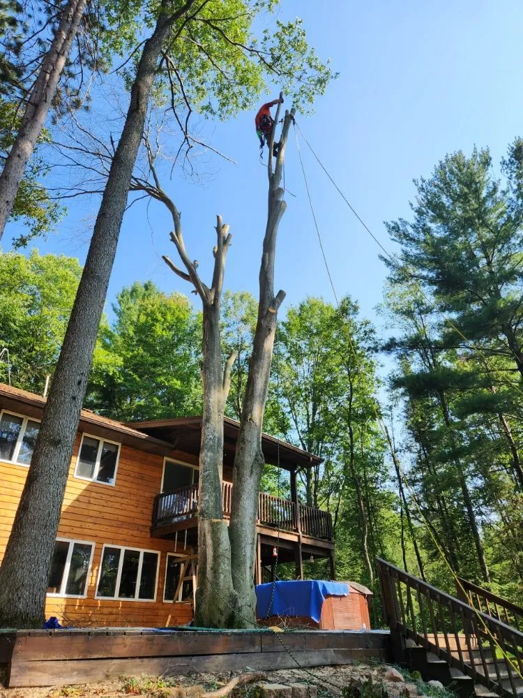 Top-rated landscape installation experts serving Marion, MI - Eadie Landscaping and Tree Service