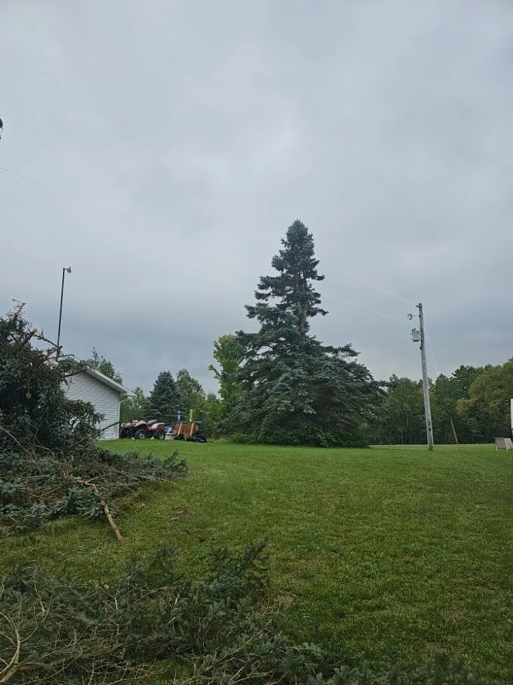 Trusted outdoor landscaping for homes across Marion, MI - Eadie Landscaping and Tree Service