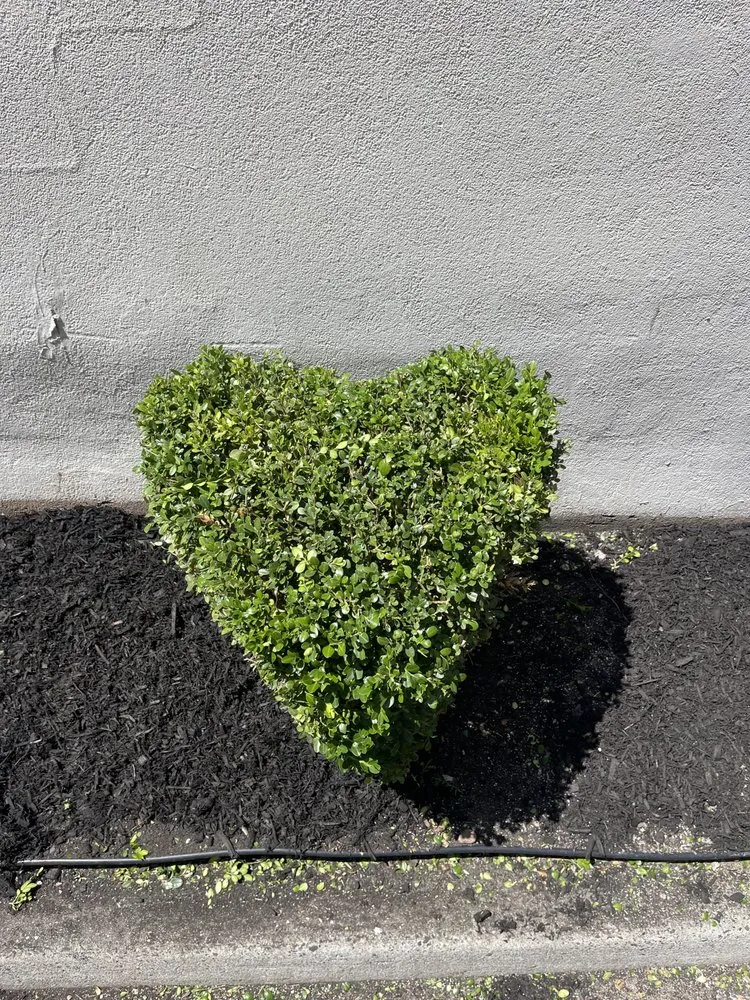 Custom landscaping services experts serving Staten Island, NY - EAG Maintenance - EAGLE Landscaping & Lawn Care