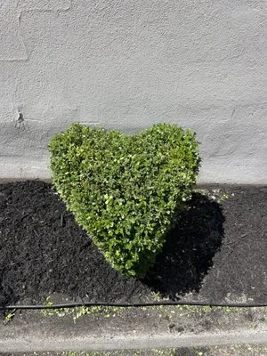 EAG Maintenance - EAGLE Landscaping & Lawn Care Logo