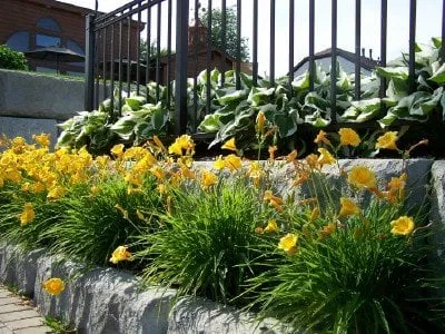 Local outdoor landscaping for year-round maintenance across Lexington, MI - Eager Beaver Lawn Care
