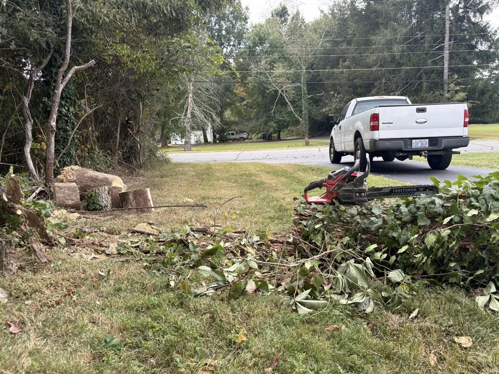 Expert lawn care service in Winston-Salem, NC by Eager Beaver Services
