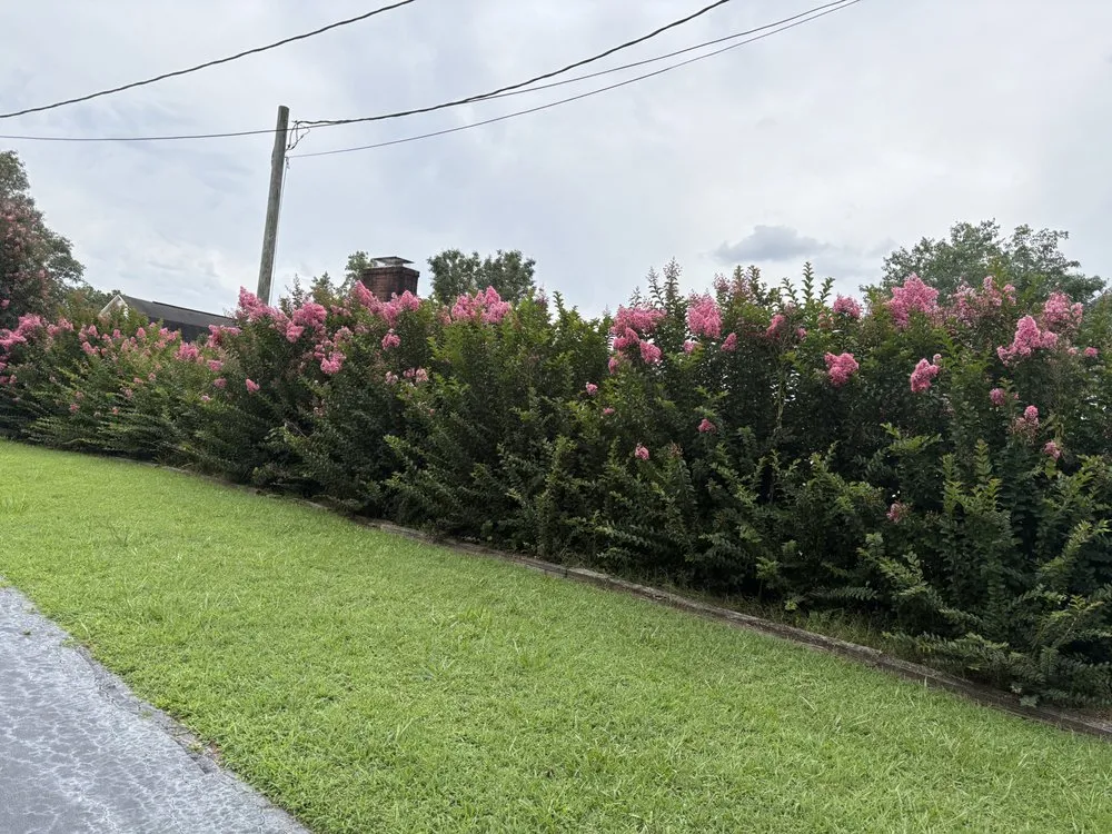 Reliable residential landscaping for year-round maintenance across Winston-Salem, NC - Eager Beaver Services