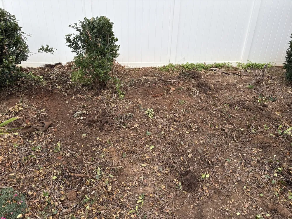 Local landscaping services experts serving Winston-Salem, NC - Eager Beaver Services