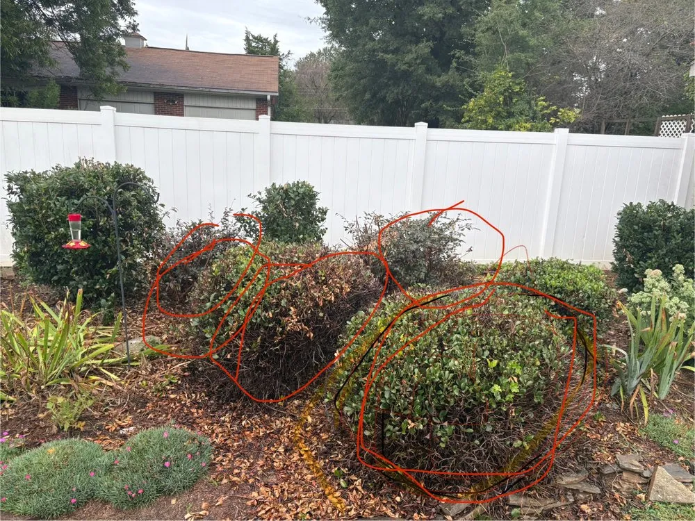 Affordable lawn mowing service in Winston-Salem, NC by Eager Beaver Services