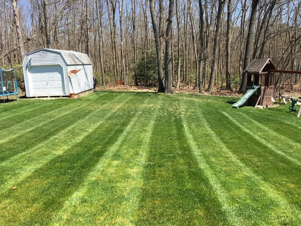 Custom lawn care service in Sicklerville, NJ - Eager Landscaping