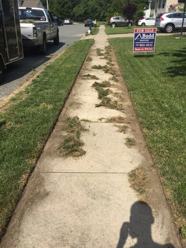 Expert landscape design in Sicklerville, NJ by Eager Landscaping