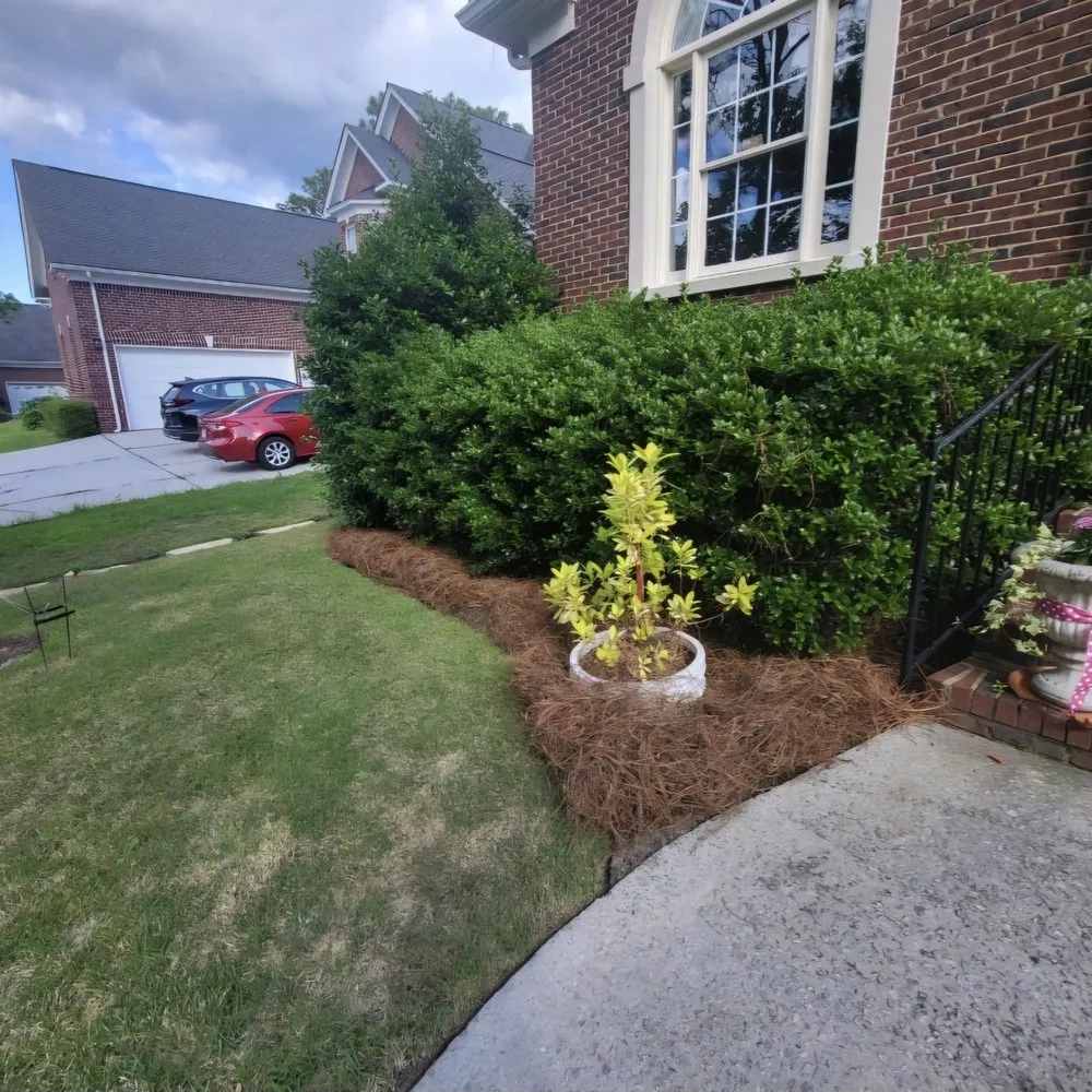 Professional outdoor landscaping experts serving Wagener, SC - Eagerton's Lawn Care