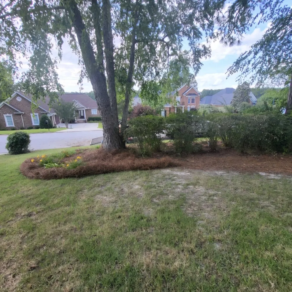Local landscape installation in Wagener, SC by Eagerton's Lawn Care