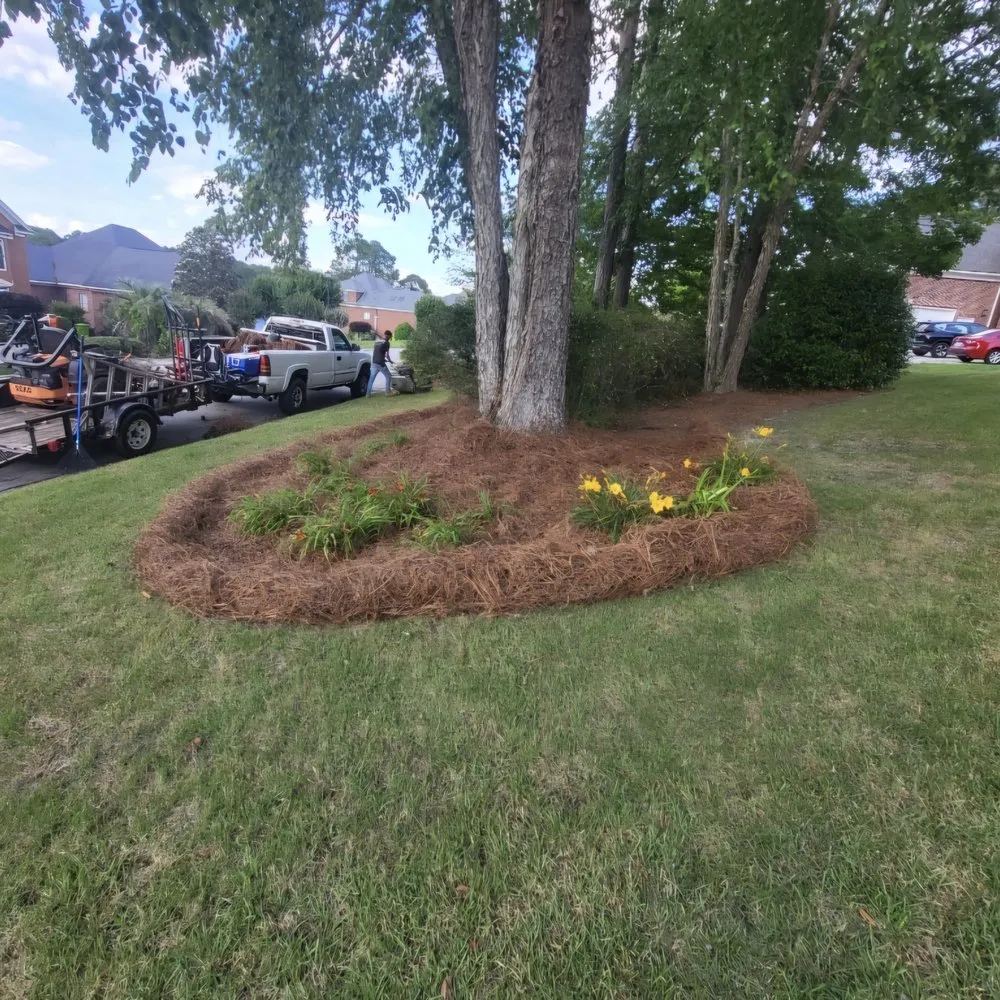 Custom yard maintenance near you across Wagener, SC - Eagerton's Lawn Care