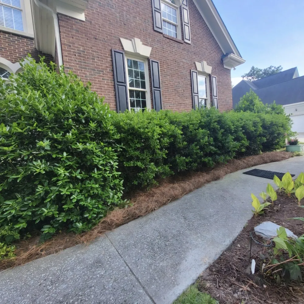 Professional landscape design with custom design in Wagener, SC by Eagerton's Lawn Care
