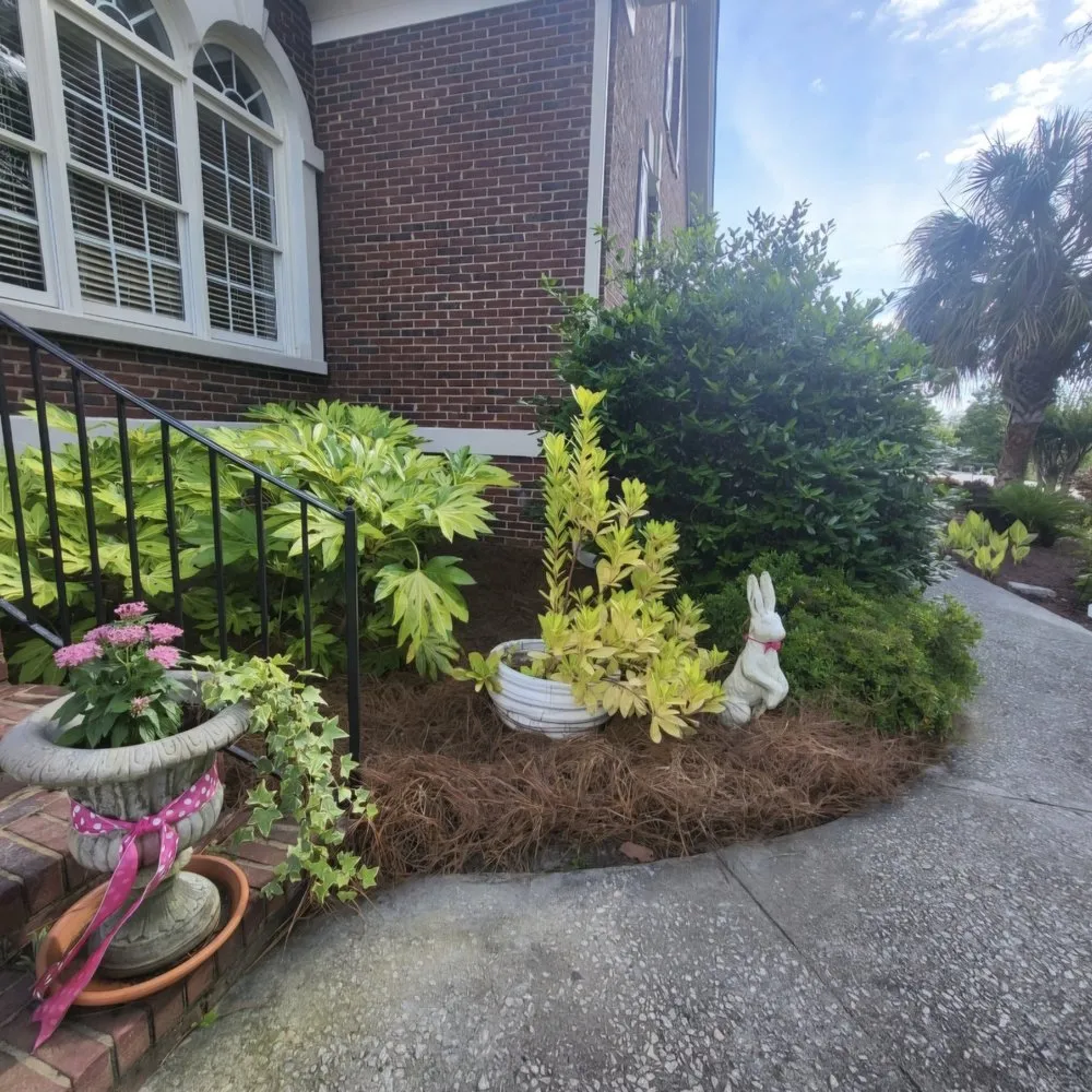 Expert outdoor landscaping near you across Wagener, SC - Eagerton's Lawn Care