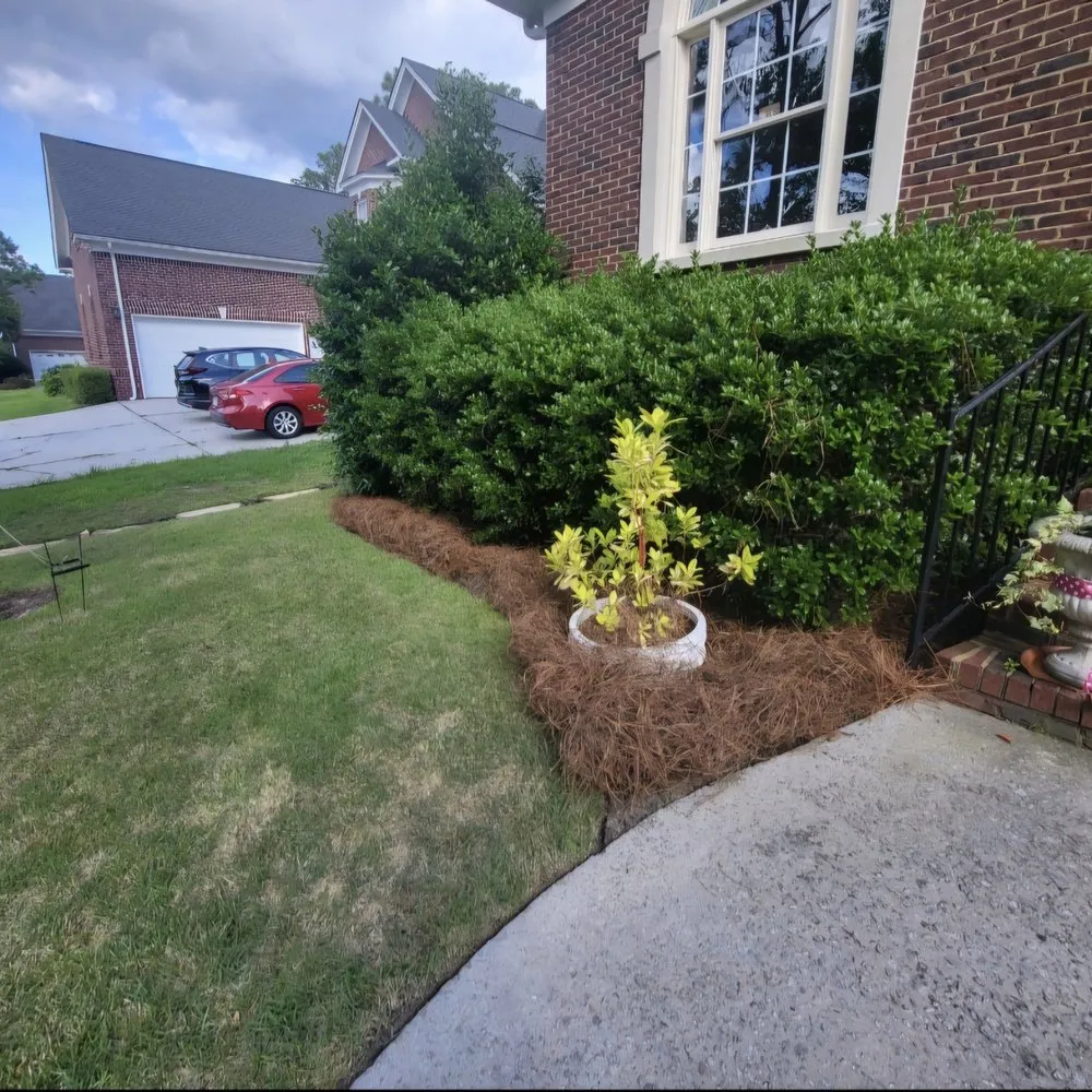 Top-rated residential landscaping experts serving Wagener, SC - Eagerton's Lawn Care