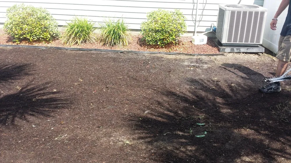 Reliable lawn care service in Myrtle Beach, SC by Eagle Brothers Landscaping