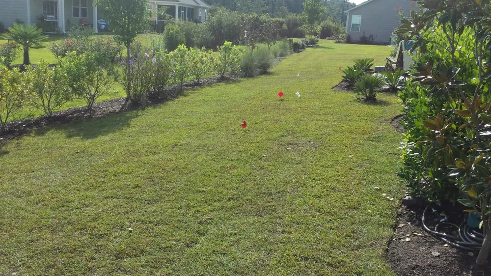 Affordable yard cleanup service in Myrtle Beach, SC by Eagle Brothers Landscaping