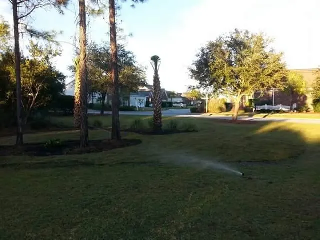 Reliable yard cleanup service in Myrtle Beach, SC - Eagle Brothers Landscaping