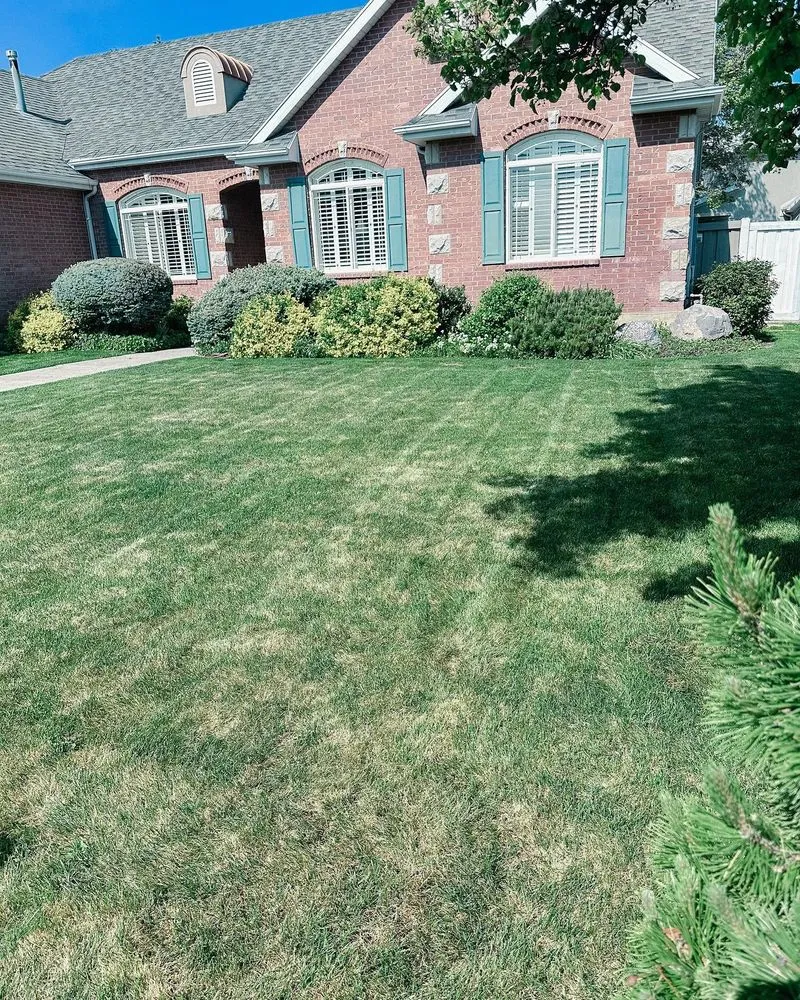 Affordable lawn mowing service in Orem, UT by Eagle Brothers