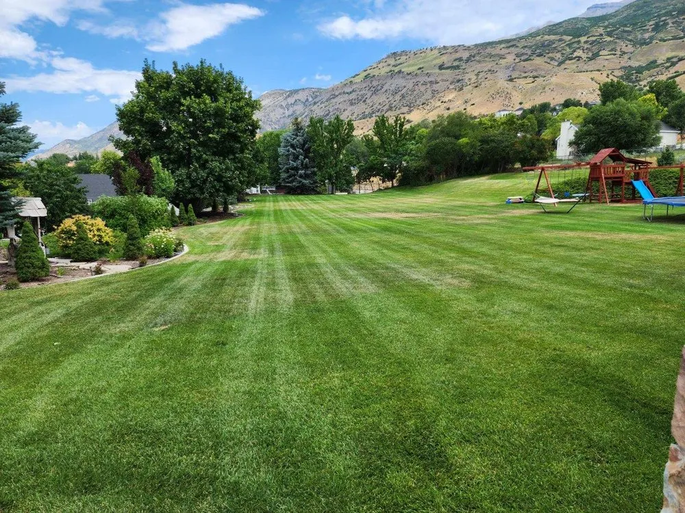 Affordable landscape design in Orem, UT by Eagle Brothers