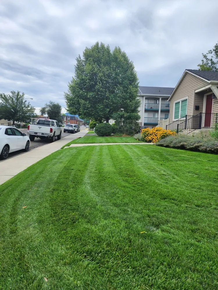 Affordable yard cleanup service in Orem, UT by Eagle Brothers