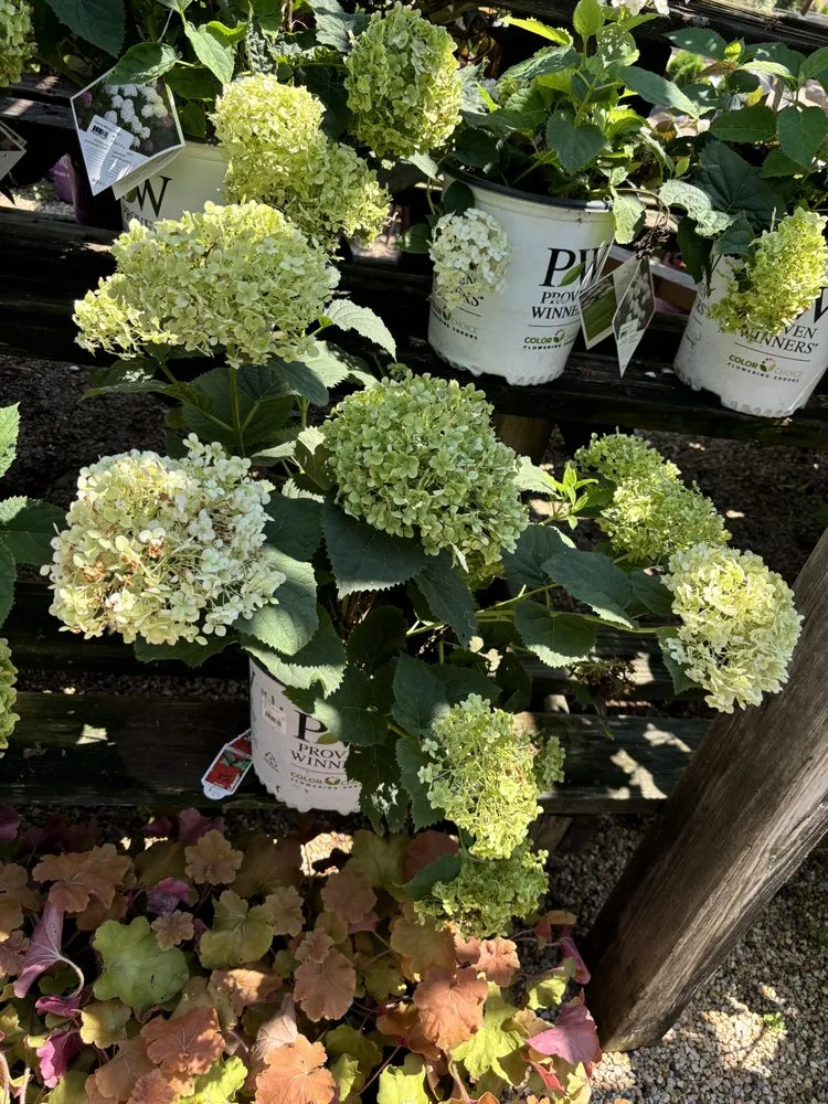 Custom landscape design for residential properties across Bolingbrook, IL - Eagle Claw Landscaping & Tree Services