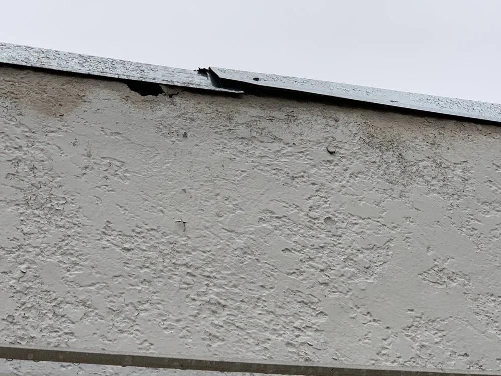 Affordable garden landscaping in Vallejo, CA by Eagle Construction