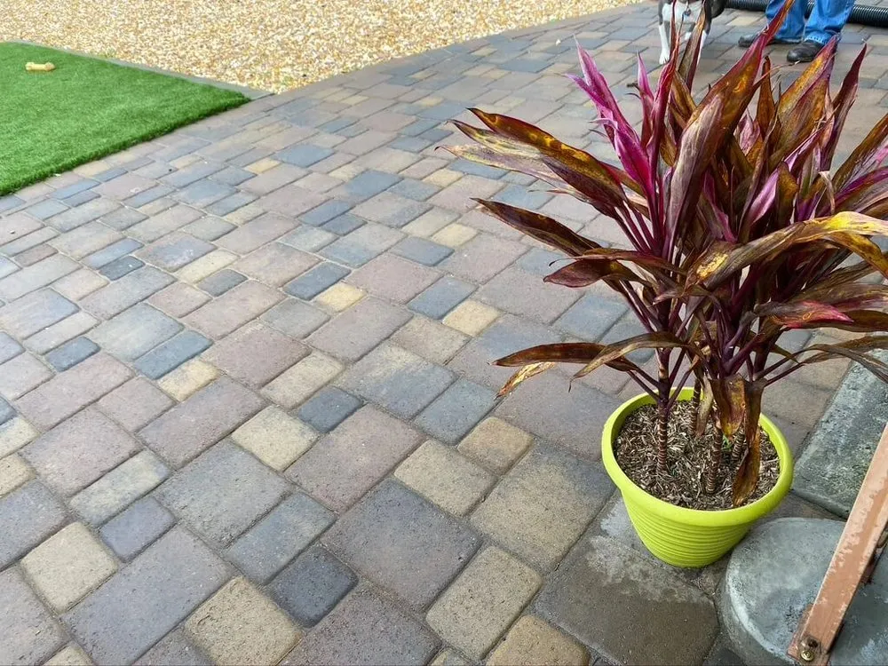 Affordable landscape design for beautiful yards across Vallejo, CA - Eagle Construction