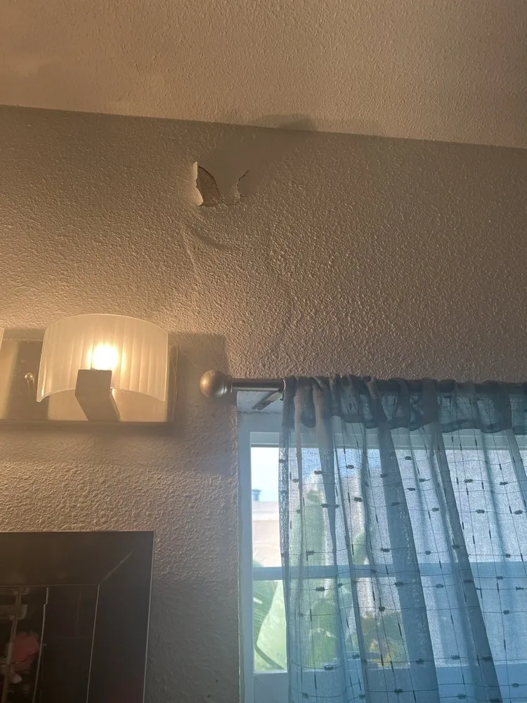 Local yard maintenance for residential properties in Vallejo, CA by Eagle Construction