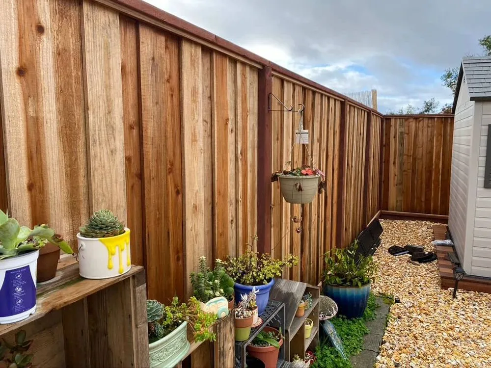 Affordable landscaping services in Vallejo, CA by Eagle Construction