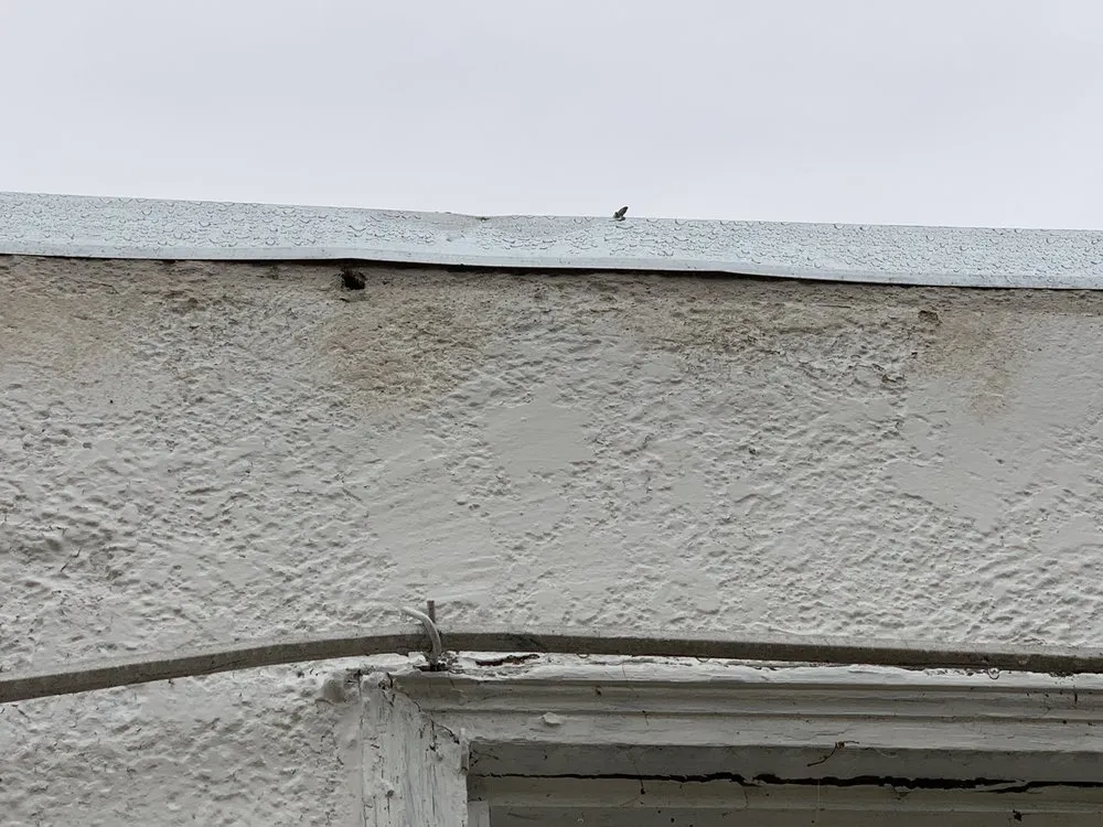 Professional landscaping services in Vallejo, CA by Eagle Construction