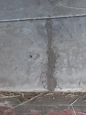 Eagle Construction Logo