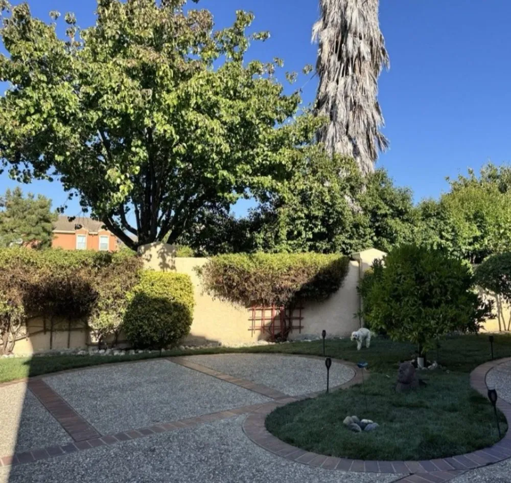 Affordable landscape design in San Jose, CA by Eagle Contractor Landscape