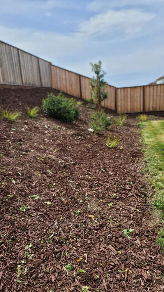 Reliable residential landscaping in San Jose, CA - Eagle Contractor Landscape