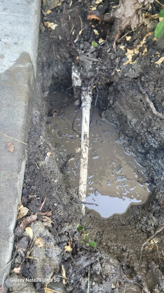 Expert landscape installation in San Jose, CA - Eagle Contractor Landscape