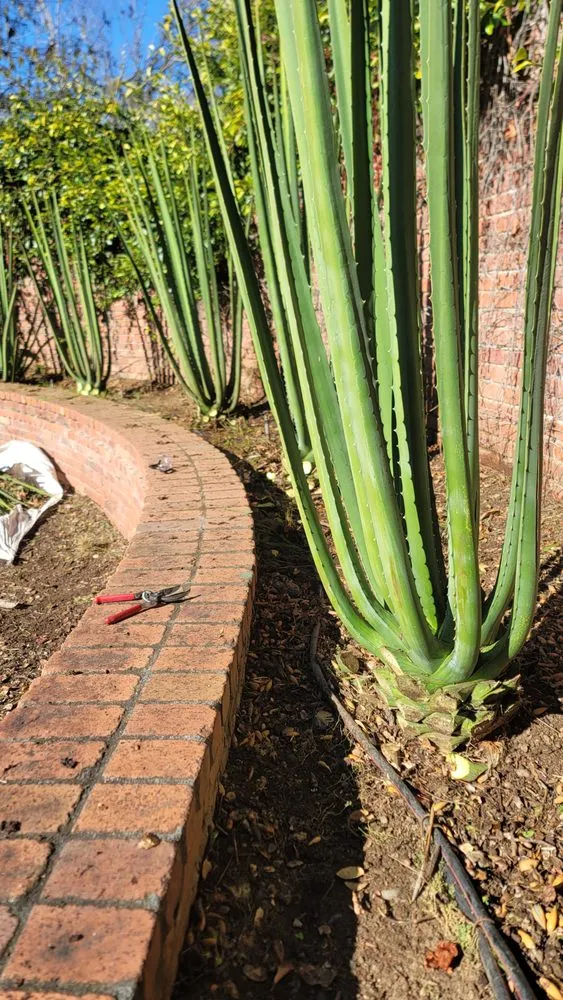 Local garden landscaping with custom design in San Jose, CA by Eagle Contractor Landscape